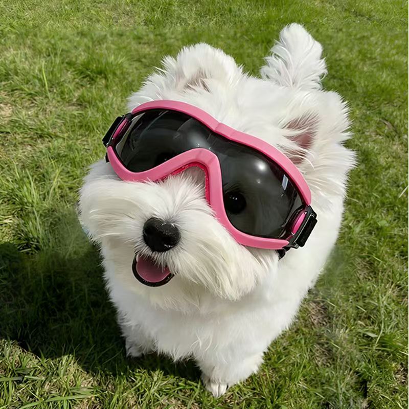 Küçük Orta Boy Köpekler için K - Sunglass Retainer Cord incelemesi ve fiyatı