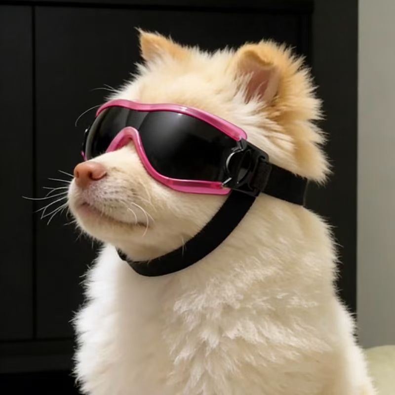 Küçük Orta Boy Köpekler için K - Sunglass Retainer Cord incelemesi ve fiyatı